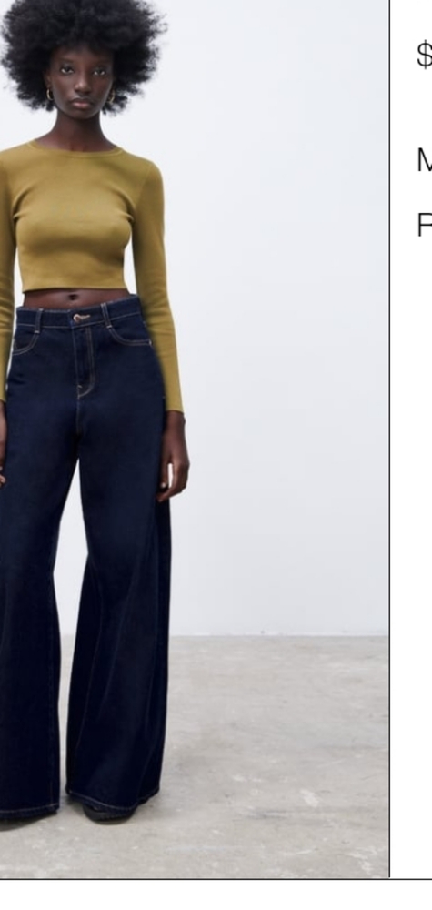 Zara crop sweater